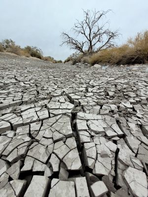 Tule Springs Fossil Beds National Monument by null