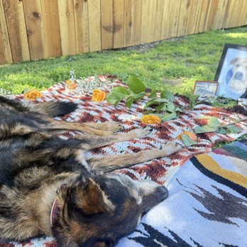 Honor Pet - Pet Cremation Services Near Me - Los Angeles, California