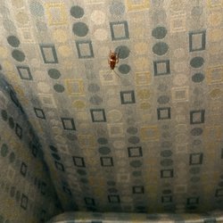 Coach House Motel - 3rd roach of the night and i've been here for 8hrs, do not stop here. just keep going.