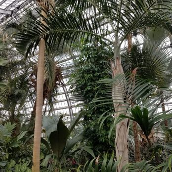 Lincoln Park Conservatory - Parks Near Me - Chicago, Illinois Lincoln Park Conservatory - Parks Near Me - Chicago, Illinois