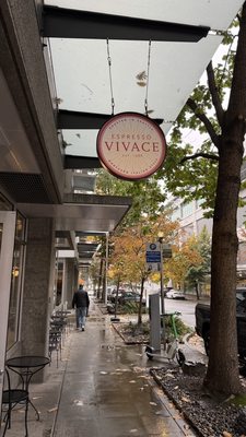 Espresso Vivace South Lake Union by null