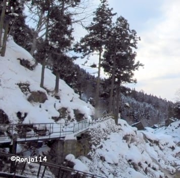 Jigokudani Yaen-Koen by null