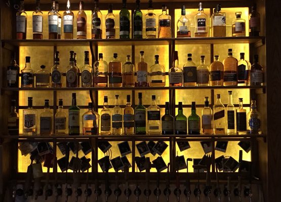 The Craftsman by null