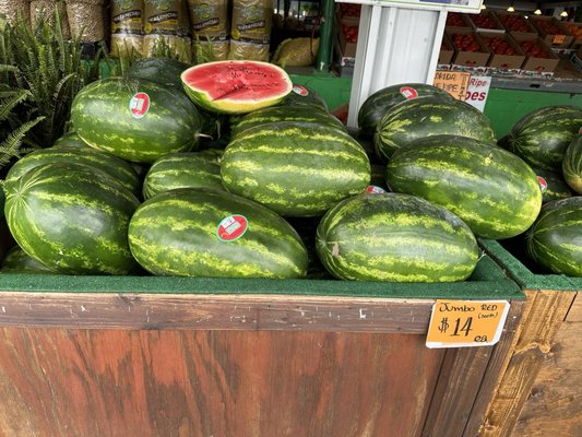 Alabama Farmers Market by null