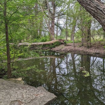 Cibolo Nature Center - Summer Camps Near Me - Boerne, Texas Cibolo Nature Center - Summer Camps Near Me - Boerne, Texas
