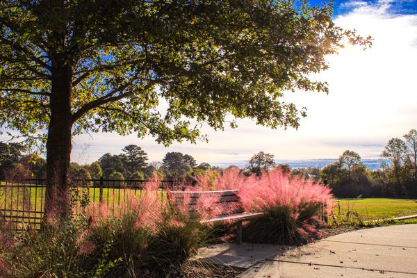 Photo of Alexander Park - Lawrenceville, GA, US. Relax and enjoy the nature around you