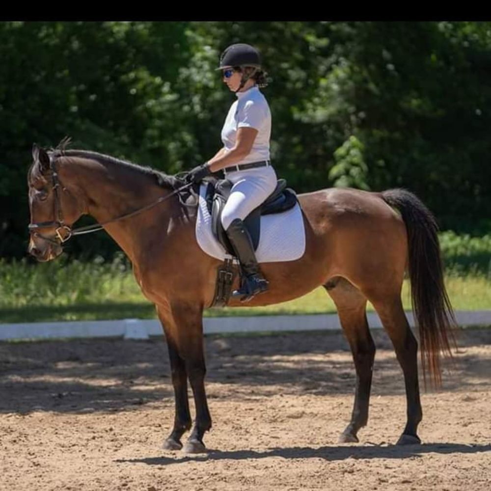 MOCCASIN STABLES Updated May 2024 265 Photos 4406 Veterans