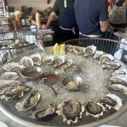 Oysters Oysters