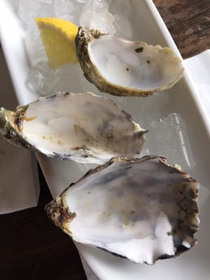 Under Current by null