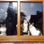 Photo of Dunclent Cattery & Kennels
