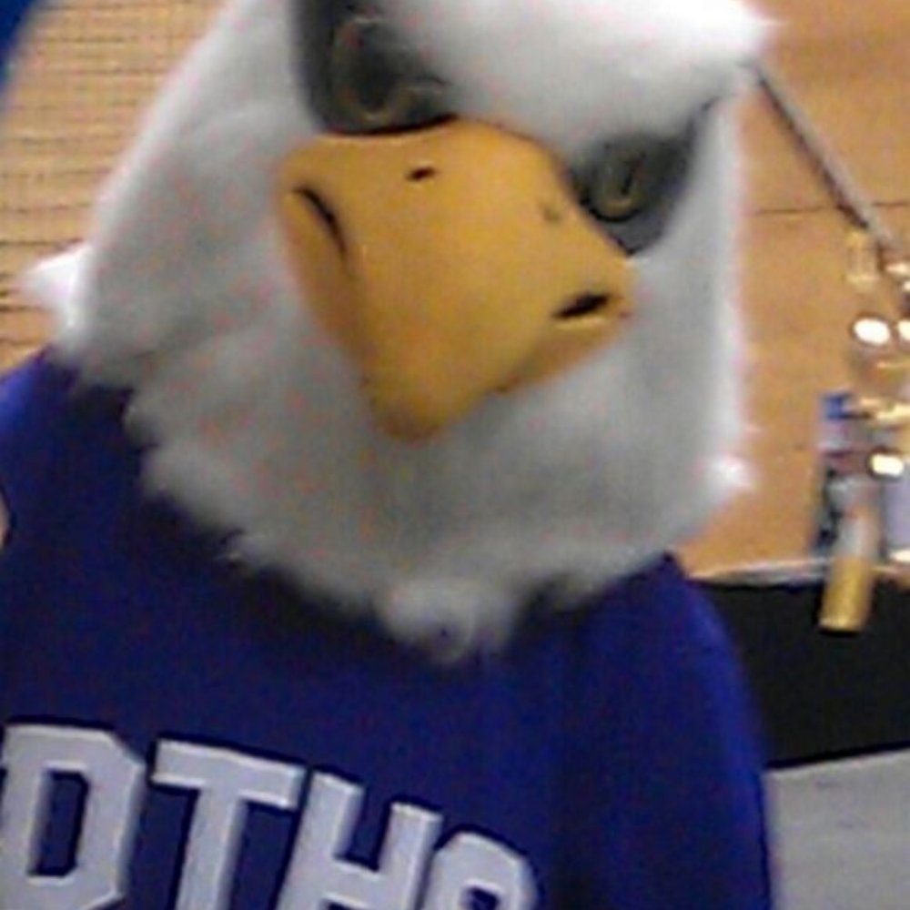 Dutchtown High School - Middle Schools & High Schools Near Me - Geismar, Louisiana