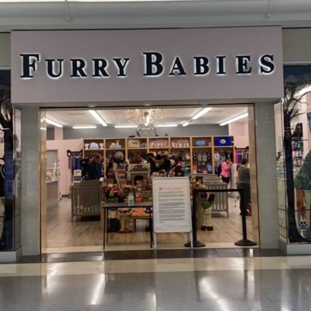 Furry Babies - Lombard - Pet Stores Near Me - Lombard, Illinois Furry Babies - Lombard - Pet Stores Near Me - Lombard, Illinois