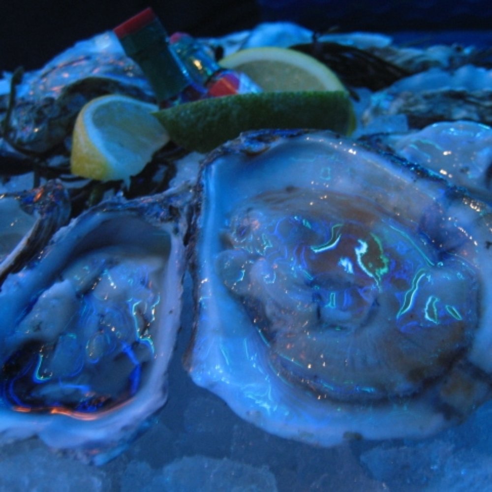 Oceano - Seafood Near Me - Reno, Nevada Oceano - Seafood Near Me - Reno, Nevada