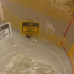 Iced Tea with a spider