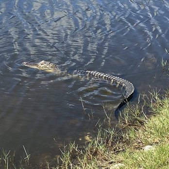 Corey Billie's Airboat Rides - Boat Tours Near Me - Collier, Florida Corey Billie's Airboat Rides - Boat Tours Near Me - Collier, Florida