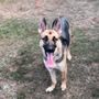 Photo of Petsense
