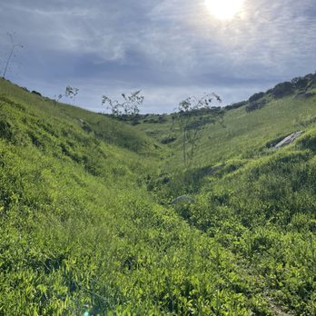 Box Springs Two Trees Trail - Hiking Near Me - Riverside, California