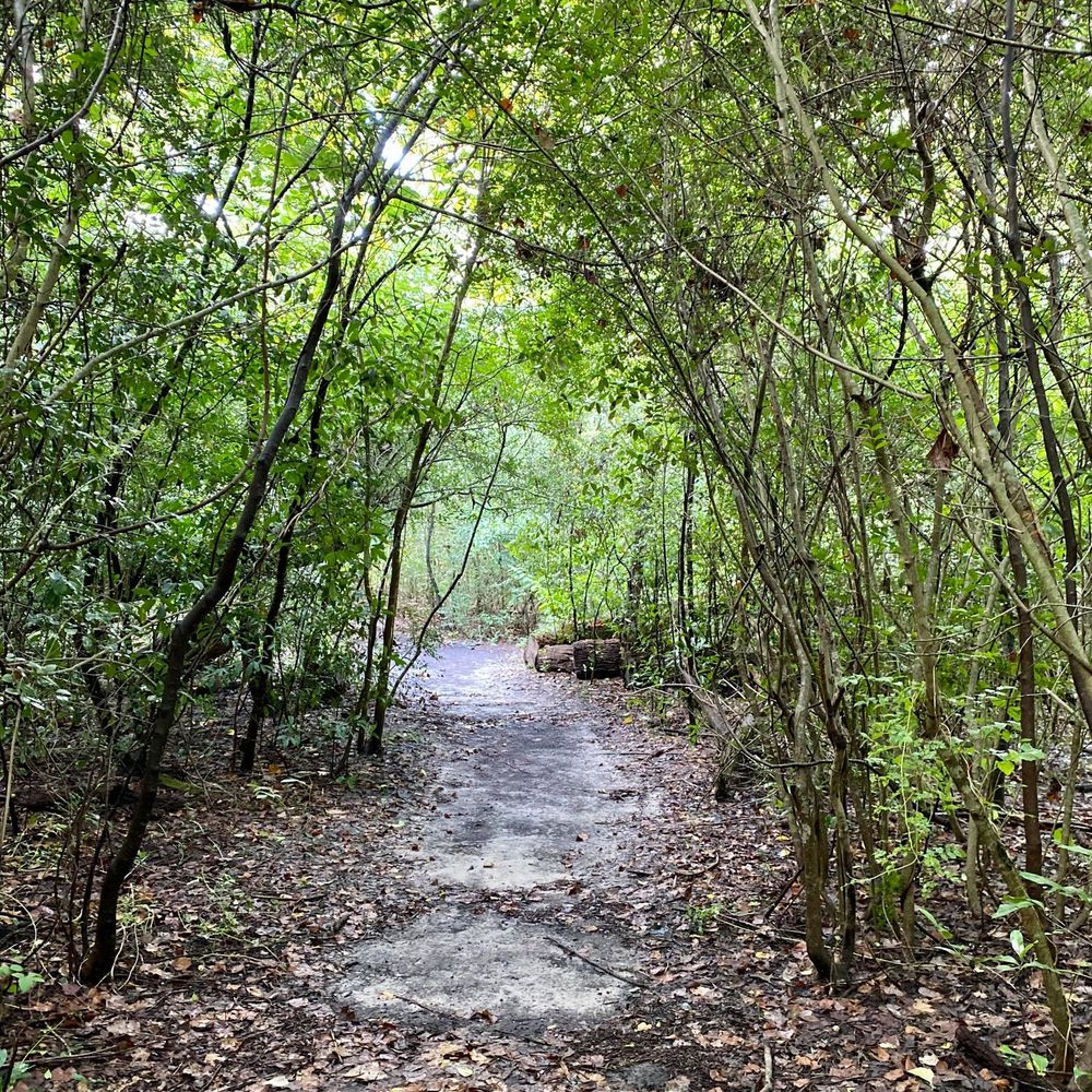 Edith L Moore Nature Sanctuary - Parks Near Me - Houston, Texas Edith L Moore Nature Sanctuary - Parks Near Me - Houston, Texas
