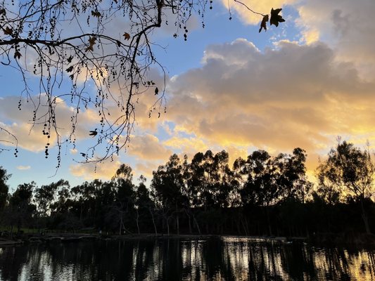 Kenneth Hahn State Recreation Area by null