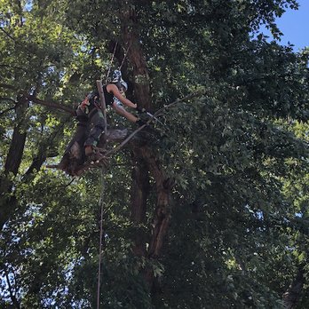 Well Rooted Gardens - Certified arborists to trim or remove any tree - Landscaping Near Me - Omaha, Nebraska Well Rooted Gardens - Certified arborists to trim or remove any tree - Landscaping Near Me - Omaha, Nebraska