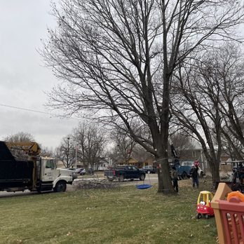 Stewart Tree Service - Tree Services Near Me - Atlanta, Nebraska Stewart Tree Service - Tree Services Near Me - Atlanta, Nebraska