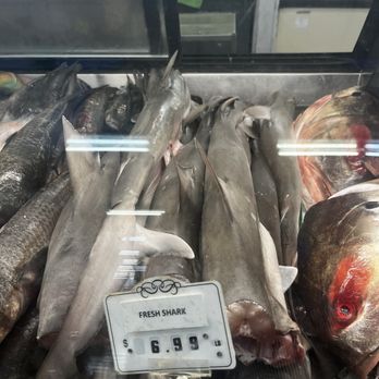 Caribbean Supercenter - Shark soup anyone? - International Grocery Near Me - Orlando, Florida