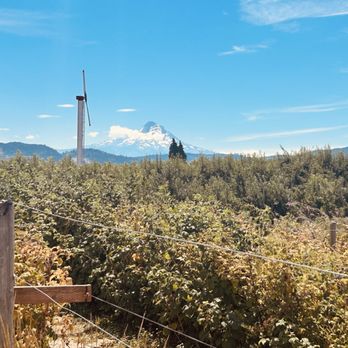 The Gorge White House - Wineries Near Me - Hood River, Oregon