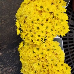 Villere's Florist