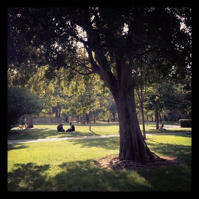 Parc Jourdan by null