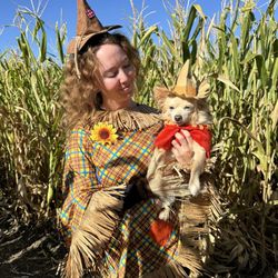 Ferrari Farms - Scarecrow