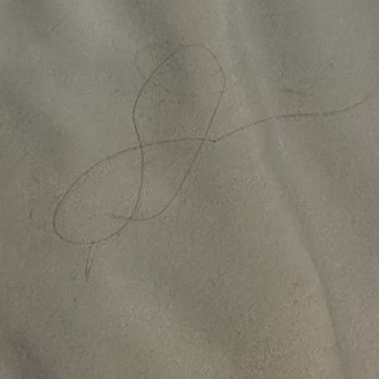 Comet Cleaners - Hair that isn't mine on my comforter after it was "cleaned"! - Dry Cleaning Near Me - Houston, Texas Comet Cleaners - Hair that isn't mine on my comforter after it was "cleaned"! - Dry Cleaning Near Me - Houston, Texas