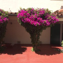 Manzanita Charter School - The Barrett campus offers many beautiful courtyards.