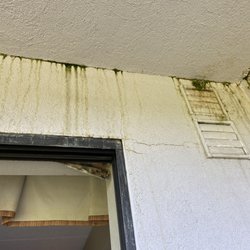 Chateau Resort & Conference Center - Mold from rain coming down from upstairs