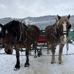 Icicle Outfitters & Guides
