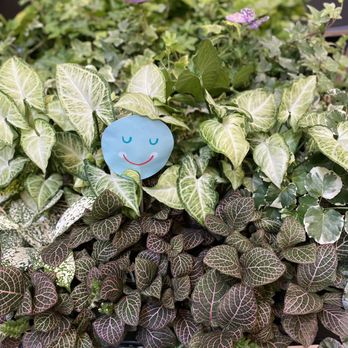 Ameena’s Florist - Florists Near Me - Brooklyn, New York Ameena’s Florist - Florists Near Me - Brooklyn, New York
