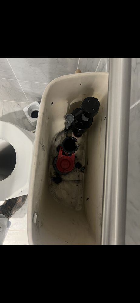 Slide of Green Apple Mechanical