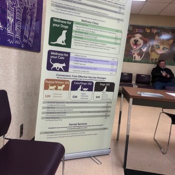 All About Animals Rescue - Veterinarians Near Me - Warren, Michigan