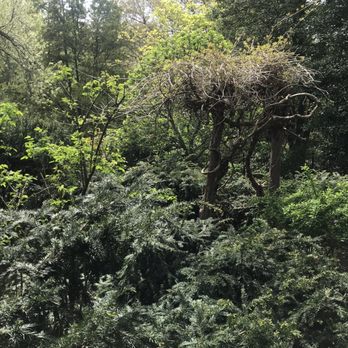 Shakespeare Garden - Parks Near Me - New York, New York