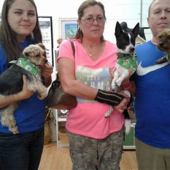 Just Pet Grooming - Pet Groomers Near Me - Oldsmar, Florida Just Pet Grooming - Pet Groomers Near Me - Oldsmar, Florida
