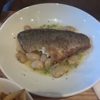 Fish Shop - Branzino - Seafood Near Me - Austin, Texas Fish Shop - Branzino - Seafood Near Me - Austin, Texas
