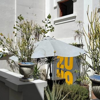 Zuno-Café bar - Bars Near Me - Guadalajara, JAL Zuno-Café bar - Bars Near Me - Guadalajara, JAL