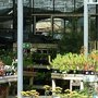Photo of Squire's Garden Centre