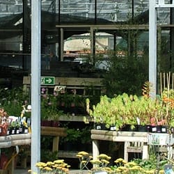 Squire's Garden Centre