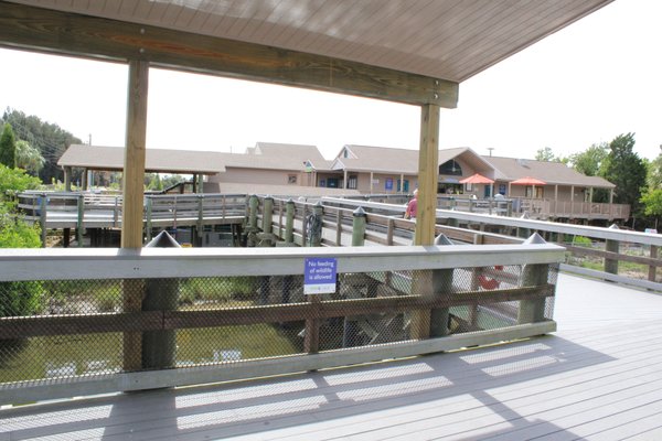 MANATEE VIEWING CENTER - 791 Photos & 229 Reviews - Zoos - 6990 Dickman