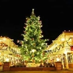 Old Town Emporium - Holiday Stroll 2014