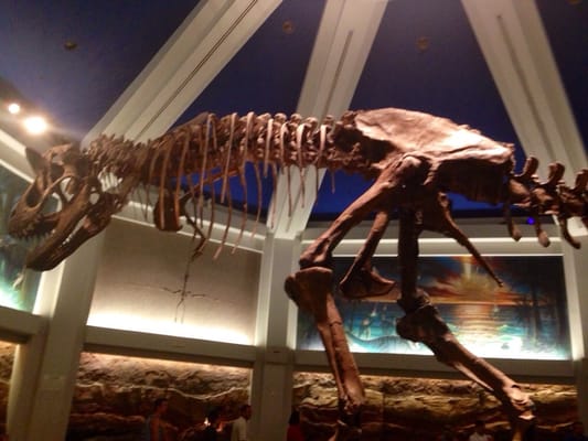 DINOSAUR by null