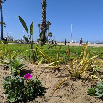 Noble Park - Pretty plants and flowers - Parks Near Me - Hermosa Beach, California