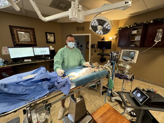 Hearthstone Animal Clinic