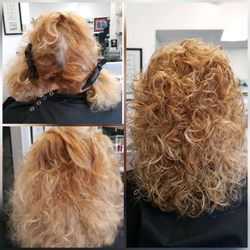 Peter G' Hair Studio