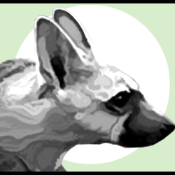 Aardwolf Networking